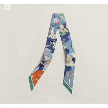 Hermes Silk Twilly 