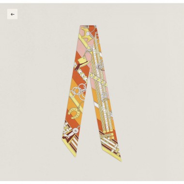 Hermes Silk Twilly 