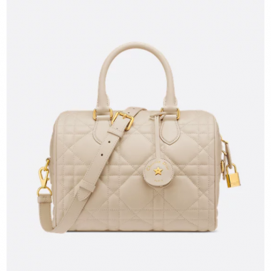 Dior Groove 25 Bag