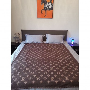 Louis Vuotton Cashere Blanket 