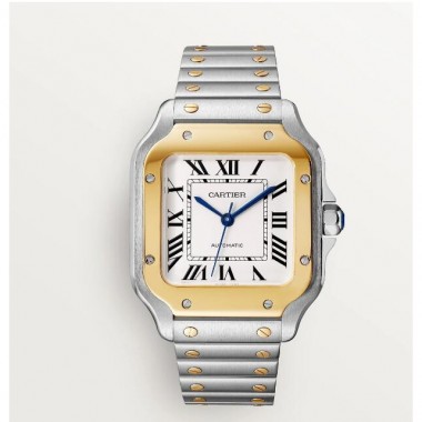 Swiss Santos De Cartier , Medio 