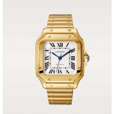 Swiss Santos De Cartier , Medio 