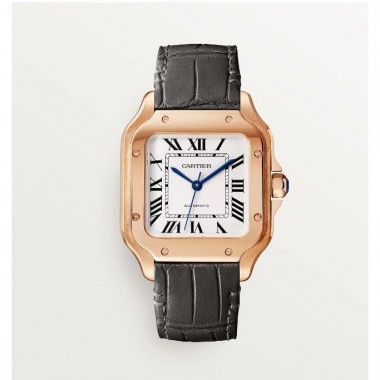 Swiss Santos De Cartier , Medio 