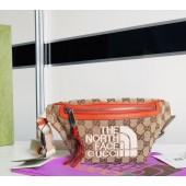 The north Face X Guccci marsupio