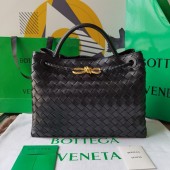 Bottega Veneta Medium Andiamo Top Handle Bag