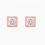 Bottega Veneta Earrings