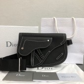 Dior Saddle messenger  