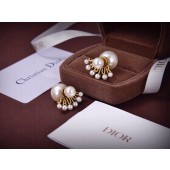 Orecchini Dior 