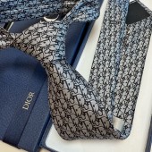 Dior Silk Neck Tie