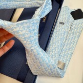 Dior Silk Neck Tie