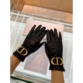 Dior Lambskin Gloves