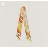 Hermes Silk Twilly 