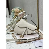 Christian Dior Mini Saddle Bag 
