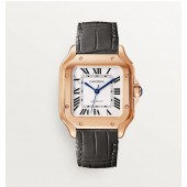 Swiss Santos De Cartier , Medio 