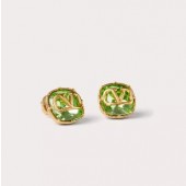 Valentino Earrings