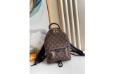 Louis Vuitton M44871 Palm Springs PM