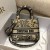 Christian Dior Medium Lady D-Lite Bag 
