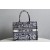 Christian Dior Medium Book Tote 