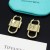Tiffany&Co Earrings