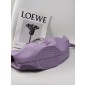 Loewe Small Paseo Bag 