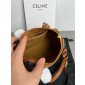 Celine-Triomphe Small Boston Bag