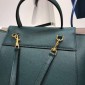 Celine Belt Bag Nano 20cm