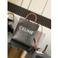 Celine Triomphe Cabas Small Bag