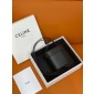 Celine Small Box Cuir Triomphe 