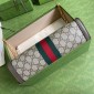 Gucci Small Ophidia Bag on chain 