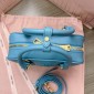 Miu Miu Arcadie leather bag