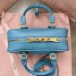 Miu Miu Arcadie leather bag