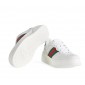 Gucci GG Sneaker,  Size 35-41