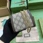 Gucci Blondie Chain Wallet 