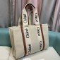 Chloe Borsa Shopping  Media 