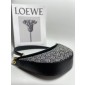 Loewe Small Luna in Emboridery and calfskin 
