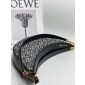 Loewe Small Luna in Emboridery and calfskin 
