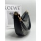 Loewe Small Luna in Emboridery and calfskin 