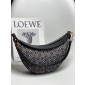 Loewe Small Luna in Emboridery and calfskin 