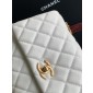 Chanel Small Coco Handle Bag-White with burgund lizard handle