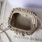  Bottega Veneta The pouch mini  