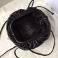  Bottega Veneta The pouch mini  