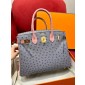 Pre-ordered Birkin 25 / 30  in Ostrich Leather- Grey/Pink
