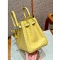 Pre-ordered Birkin 25 / 30  in Ostrich Leather- Lime