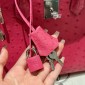 Pre-ordered Birkin 25 / 30  in Ostrich Leather-Rose Tyrien