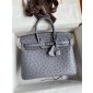 Pre-ordered Birkin 25 / 30  in Ostrich Leather- Girs Agate
