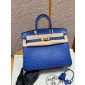 Pre-ordered Birkin 25 / 30  in Ostrich Leather- Blue roy