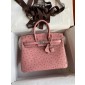 Pre-ordered Birkin 25 / 30  in Ostrich Leather- Terre cuite