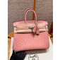 Pre-ordered Birkin 25 / 30  in Ostrich Leather- Terre cuite