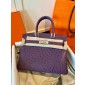 Pre-ordered Birkin 25 / 30  in Ostrich Leather- Purple