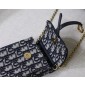  Dior oblique mini pochette